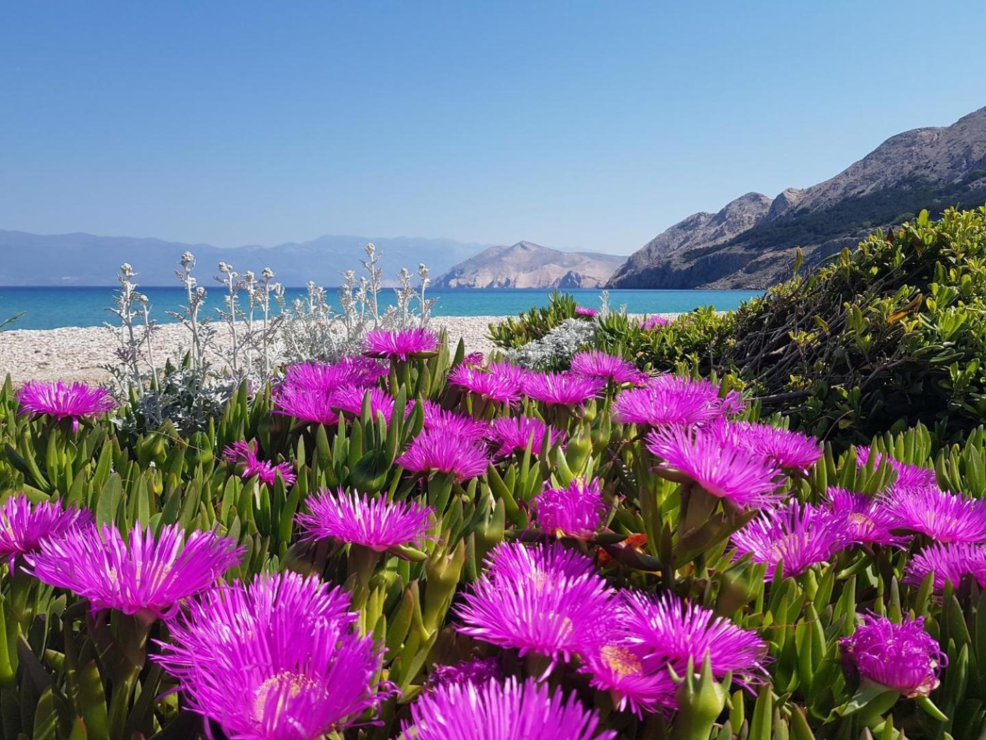 Apartments Miljenka Baška Εξωτερικό φωτογραφία